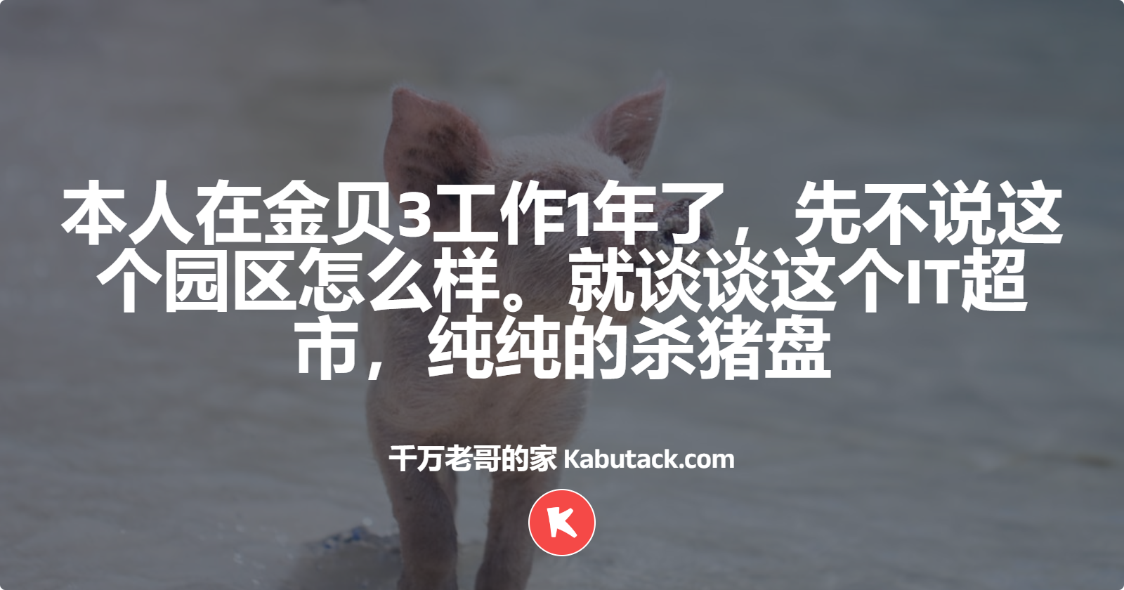 本人在金贝3工作1年了，先不说这个园区怎么样。就谈谈这个IT超市，纯纯的杀猪盘