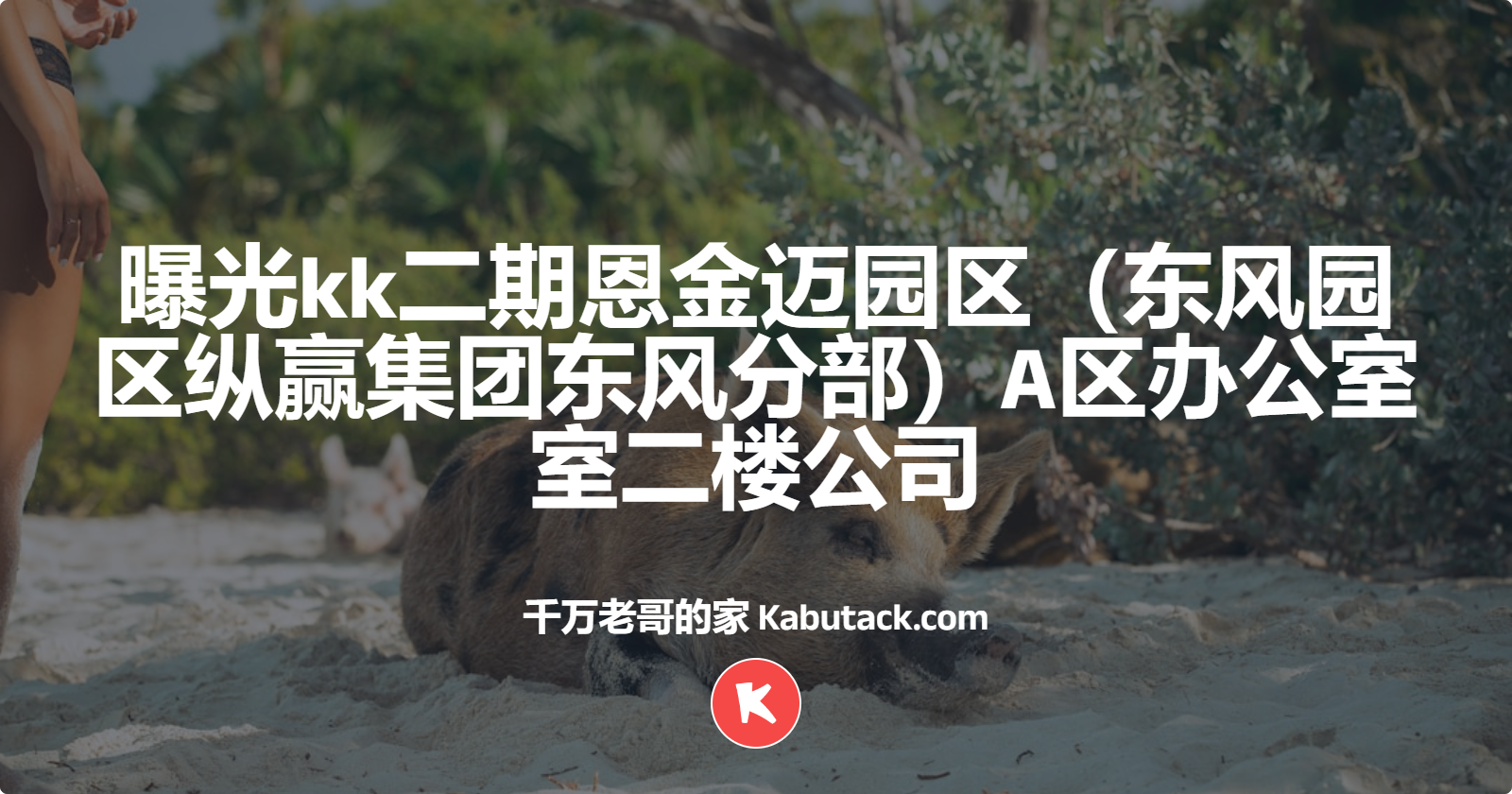 曝光kk二期恩金迈园区（东风园区纵赢集团东风分部）A区办公室室二楼公司